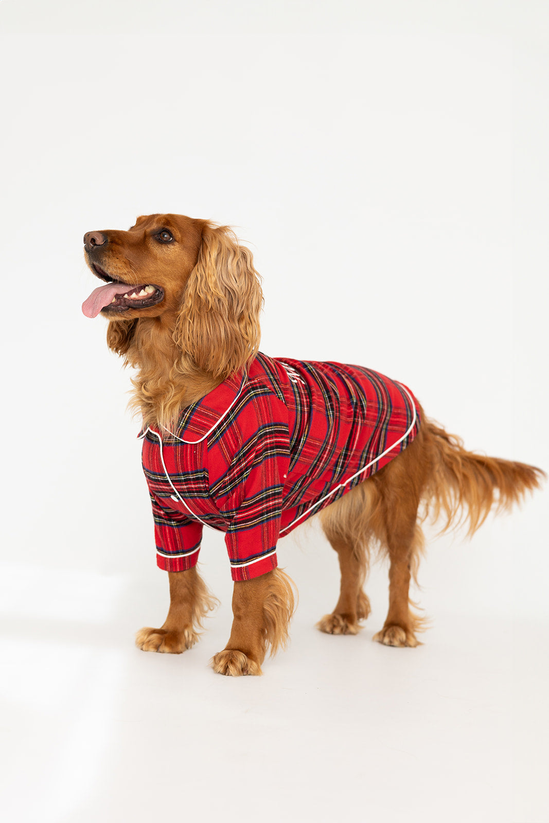 Dog's Tartan Christmas Pyjamas
